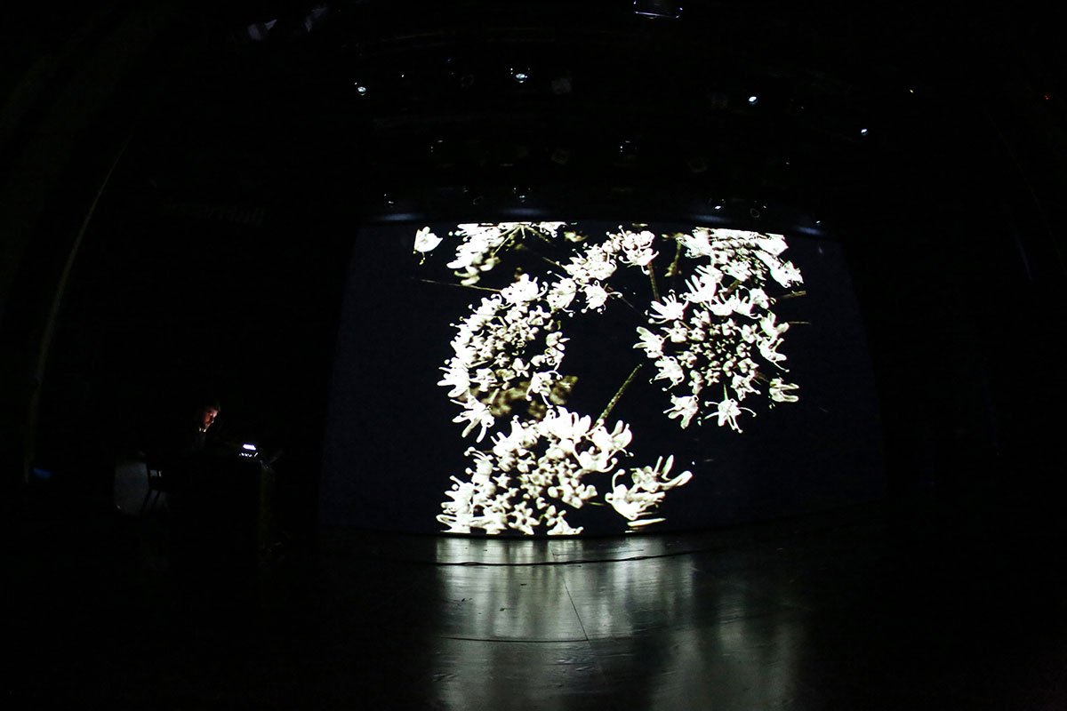 eb3e74_72bb959de3c14678a47f00ae80c8c185~mv2